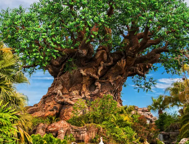 Animal Kingdom